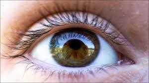 Study examines anti-VEGF treatment lapses in retinal vein occlusion