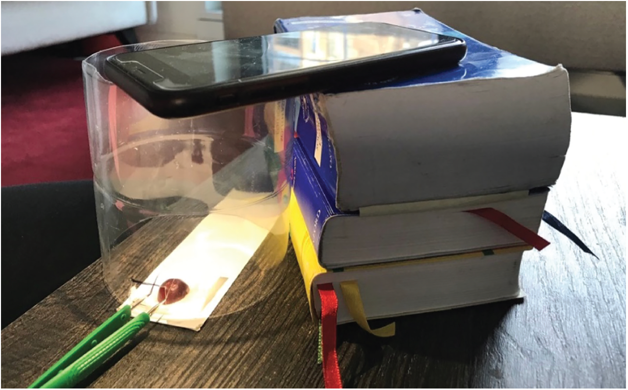 Figure 1. Smartphone set-up for home microsurgical skills practice.