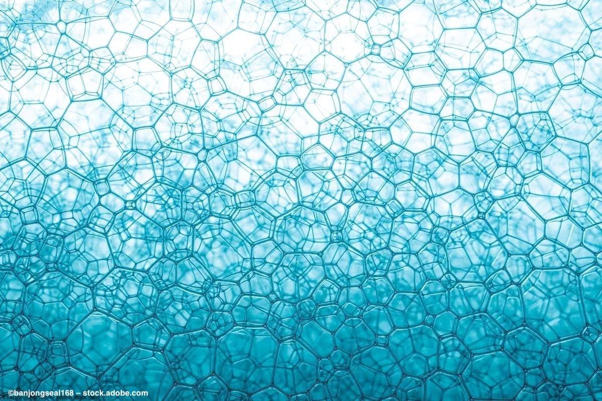 A number of cells viewed under a microscope look blue due to the light. Photo credit: ©banjongseal168 / stock.adobe.com