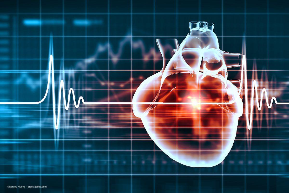 A human heart paired with a digital display of an echocardiogram. Image credit: ©Sergey Nivens – stock.adobe.com