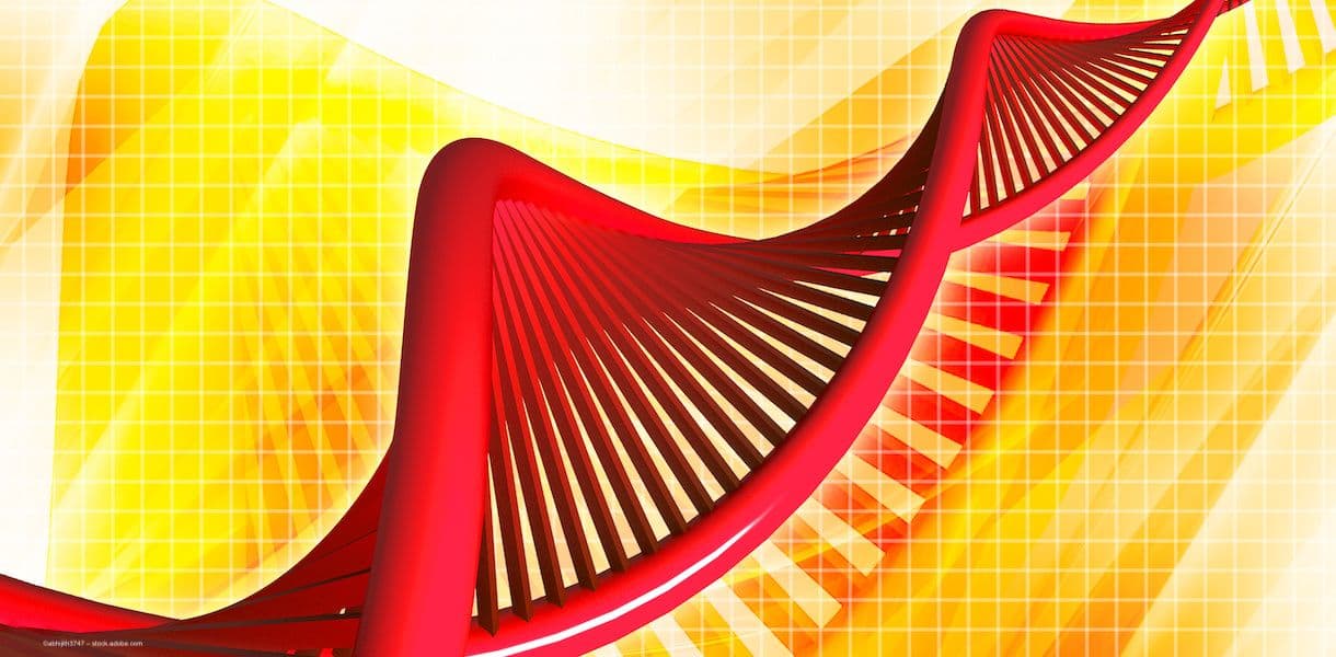 A red DNA strand on a yellow-and-white background. Image credit: ©abhijith3747 – stock.adobe.com