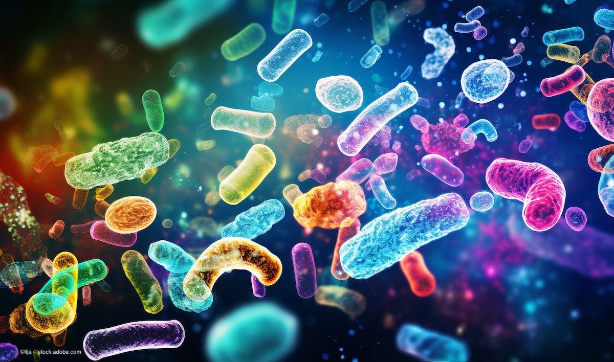 Multicolor bacteria under a microscope. Image credit: ©Ilja – stock.adobe.com