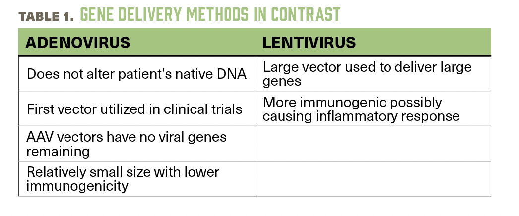 A table contrasts adenovirus and lentivirus gene delivery methods