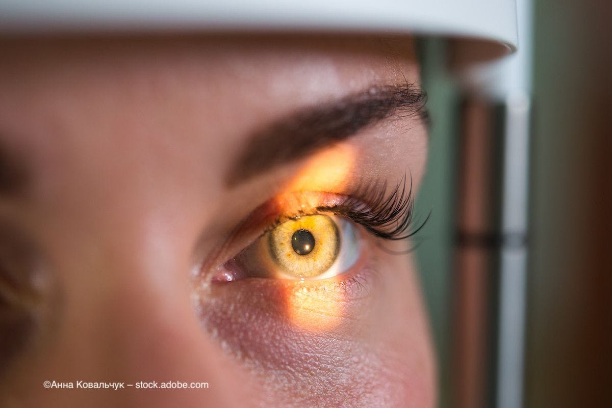 An eye undergoes a retinal scan. Image credit: ©Анна Ковальчук – stock.adobe.com