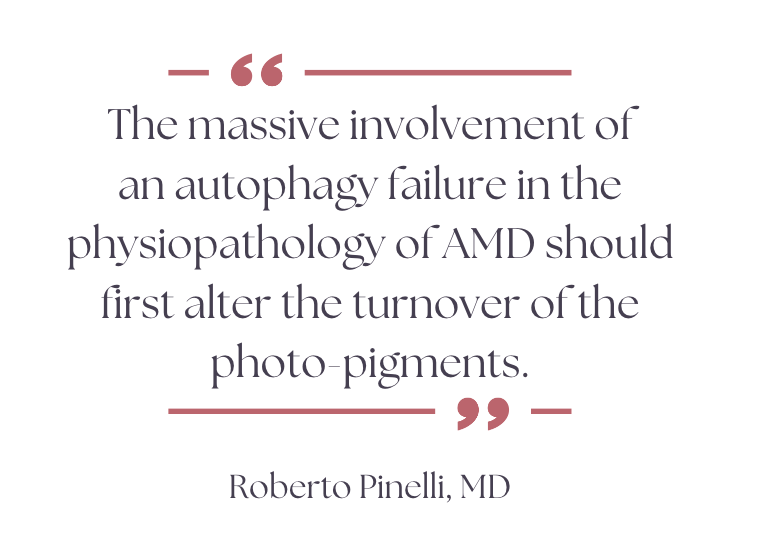 the massive involvement of an autophagy failure in the physiopathology of AMD should first alter the turnover of the photo-pigments.