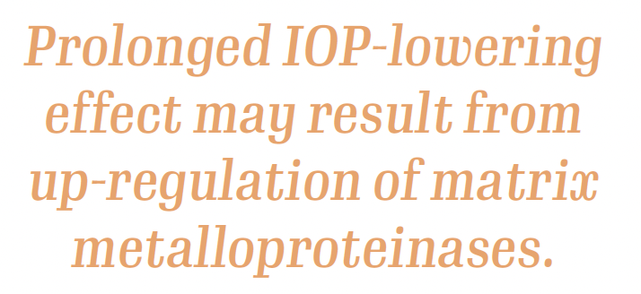 Prolonged IOP-lowering effect may result from up-regulation of matrix metalloproteinases.